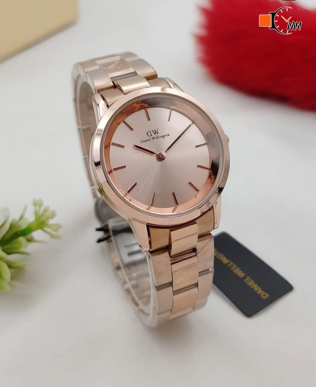 DW  LADIES COLLECTION  STAINLESS STEEL CHAIN